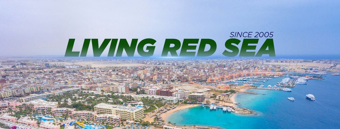 Living Red Sea Cover